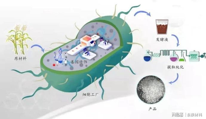 生物合成学产业化加速器 为生物基材料制造方式注入“加速度”