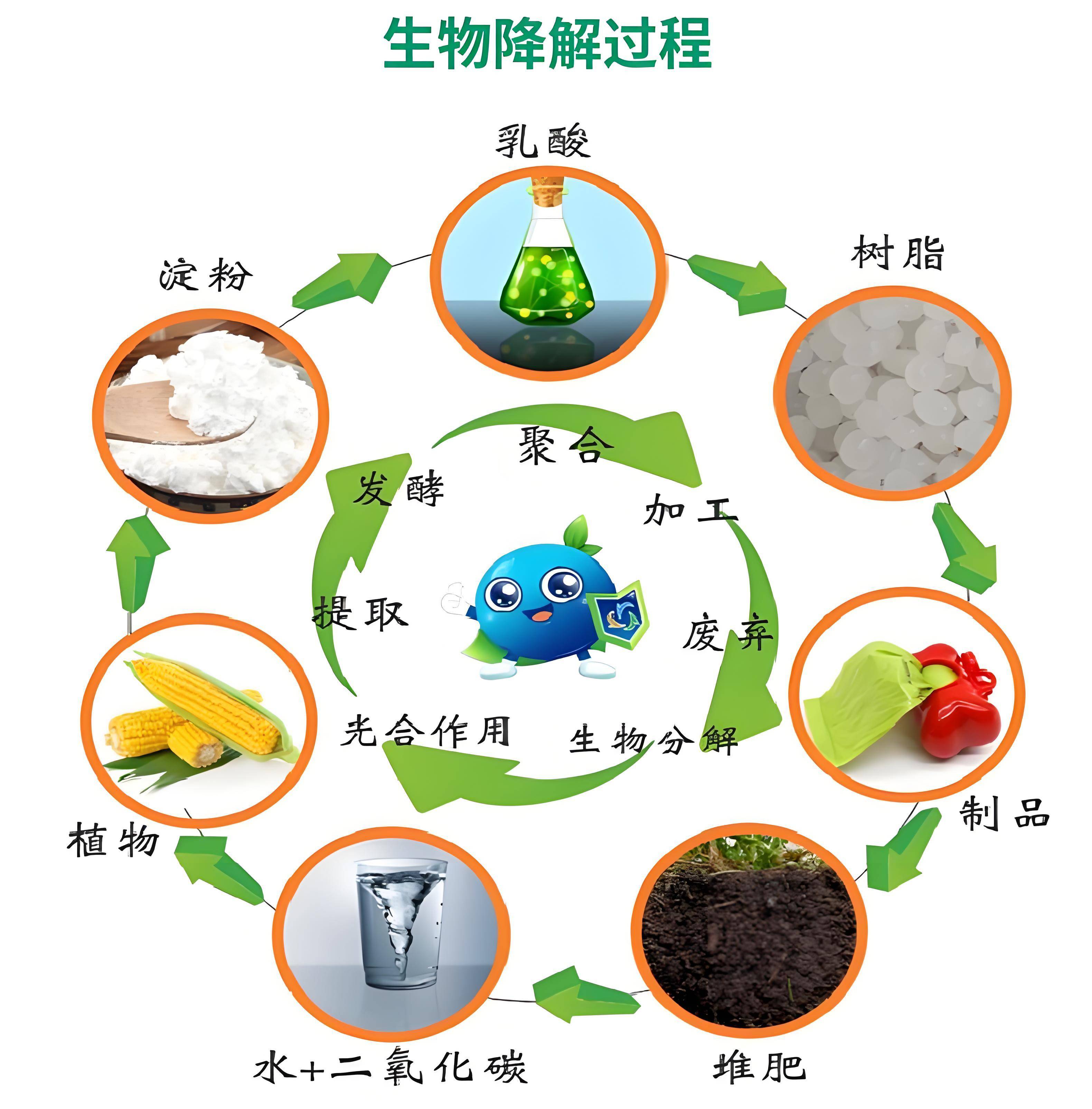 生物基材料≠生物降解材料 深入剖析两大环保材料的本质差异与关联